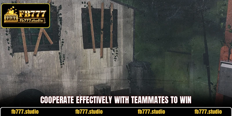 Cooperate effectively with teammates to win
